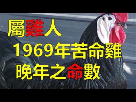 1969屬雞2023幸運色|2023年，1969年出生的屬雞人的運勢如何？